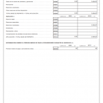 CUENTAS ANUALES 2020_002